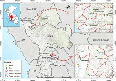 Unearthing Unevenness of Potato Seed Networks in the High Andes: A Comparison of Distinct Cultivar Groups and Farmer Types Following Seasons With and Without Acute Stress